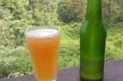 自制3.5%酒精度姜汁啤酒配方，四季适饮发酵饮料教程