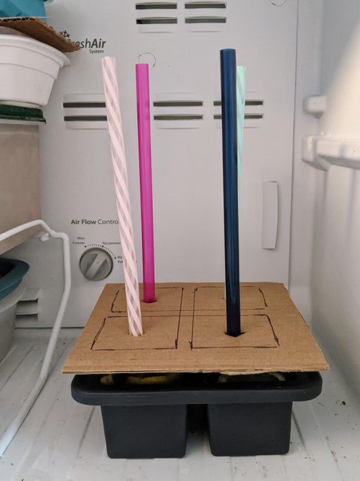 柠檬薄荷冰饮棒（5/5）- 冷冻享用