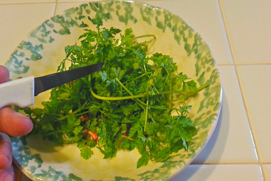 细叶芹浸渍奶油（梦奇乐 & 冷饮）