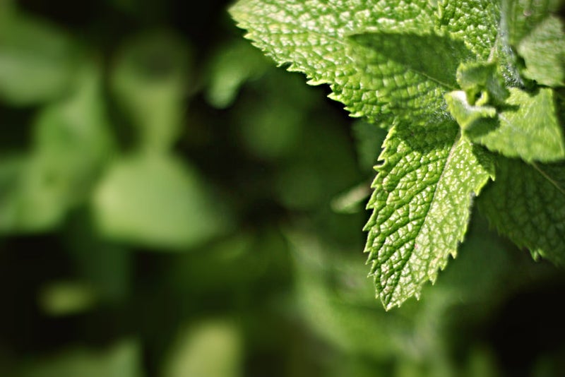 按需添加薄荷叶。