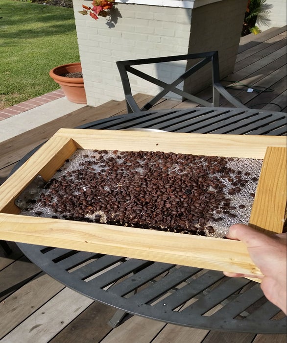 冷却烘焙好的豆子