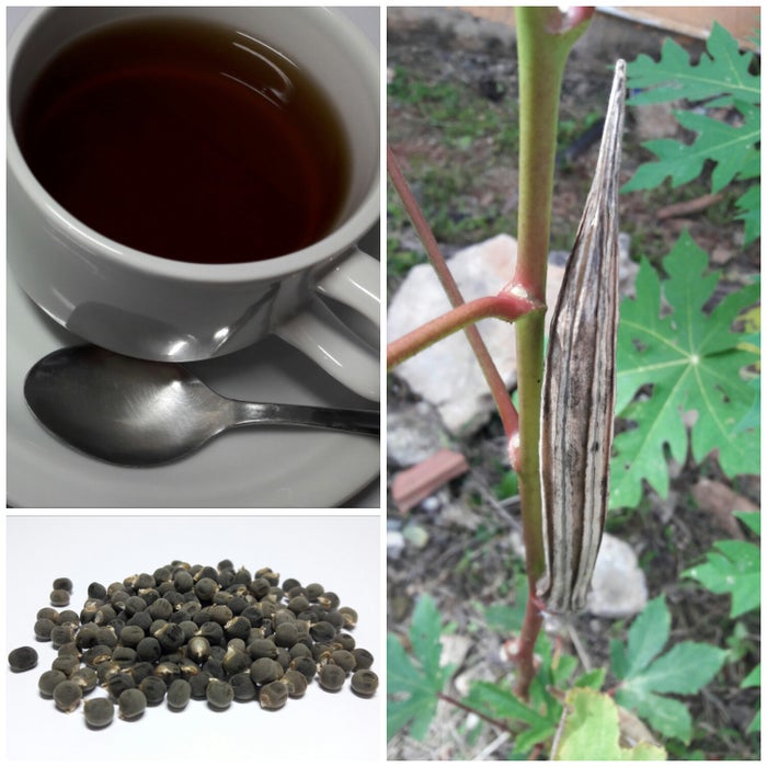Coffee From Okra Seeds