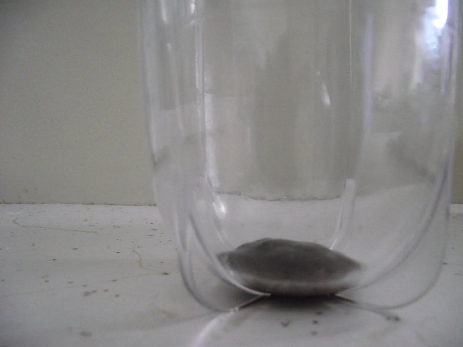 Put Chocolate Sauce in Cup