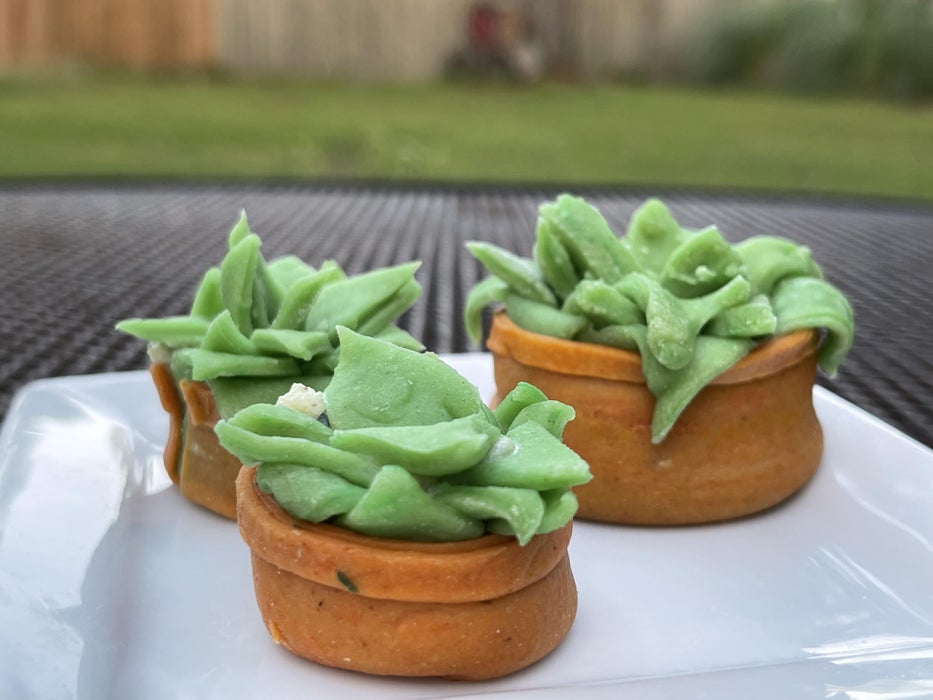 多肉植物造型意大利饺子