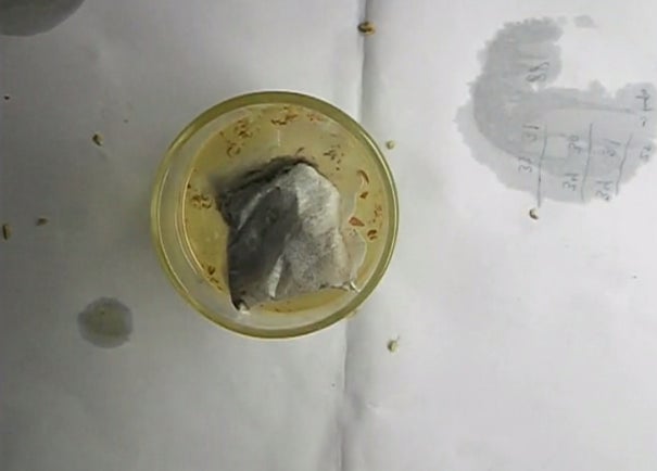 Insert Tea Bags Into Glass and Stir Well