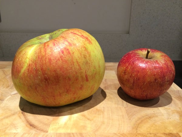 挑选苹果，准备食材