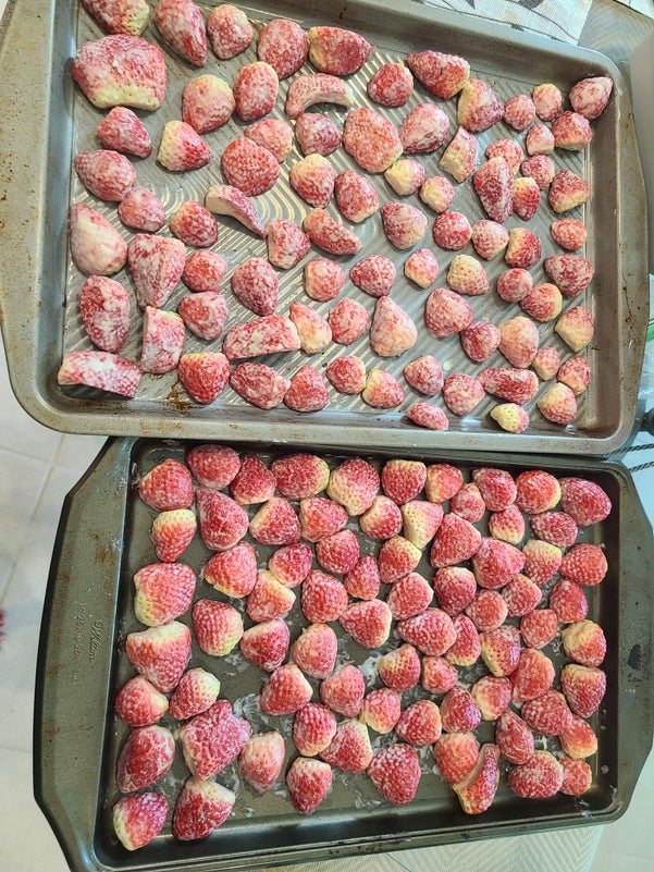 巧克力浸渍超干草莓