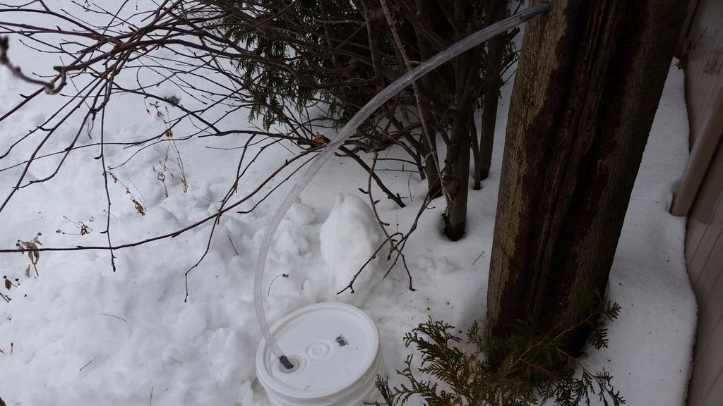 无需专业工具采集树液/糖浆的打孔方法