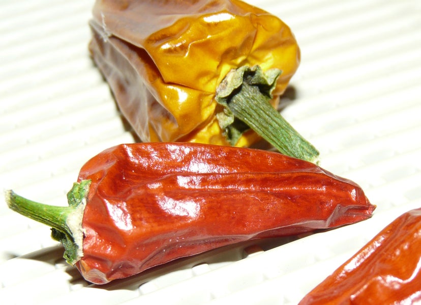 Chilli Drying - Chillis Dried Using Wasted Heat From a Monitor