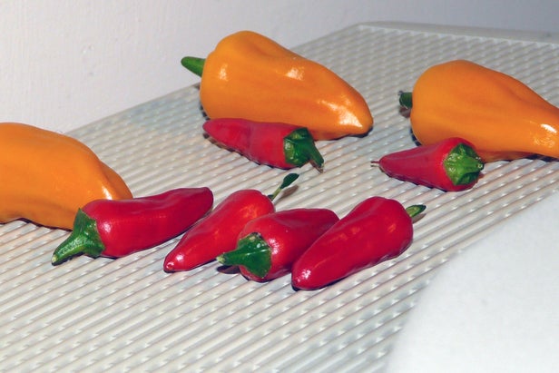 Lay Out the Chillies