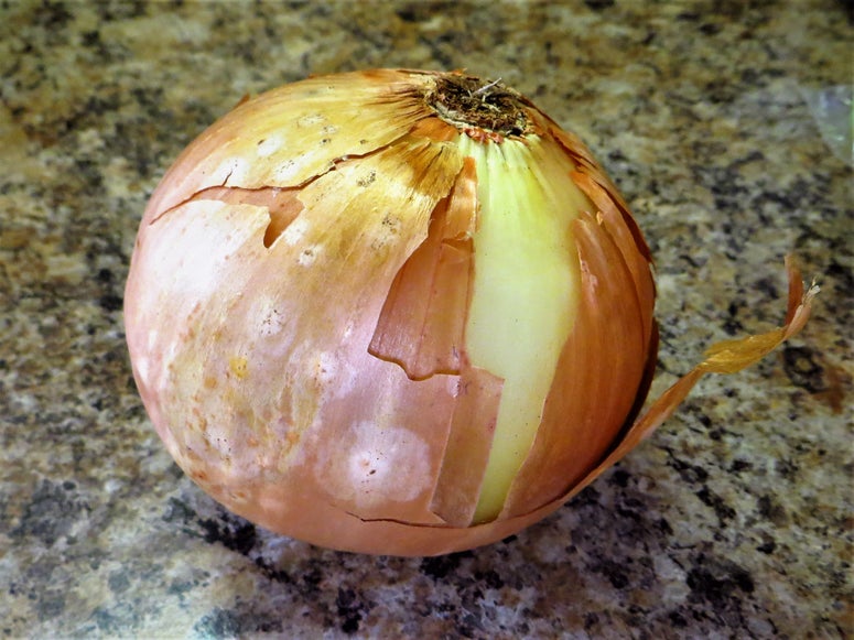 第一步：食材准备