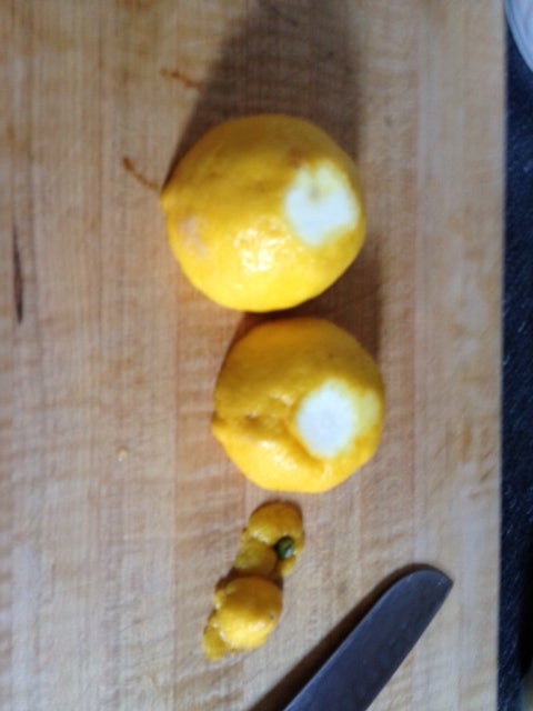 制作柠檬杯/榨取柠檬汁