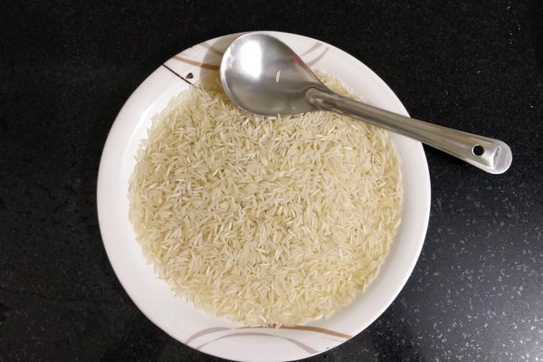 天哪！米粒先生超开心