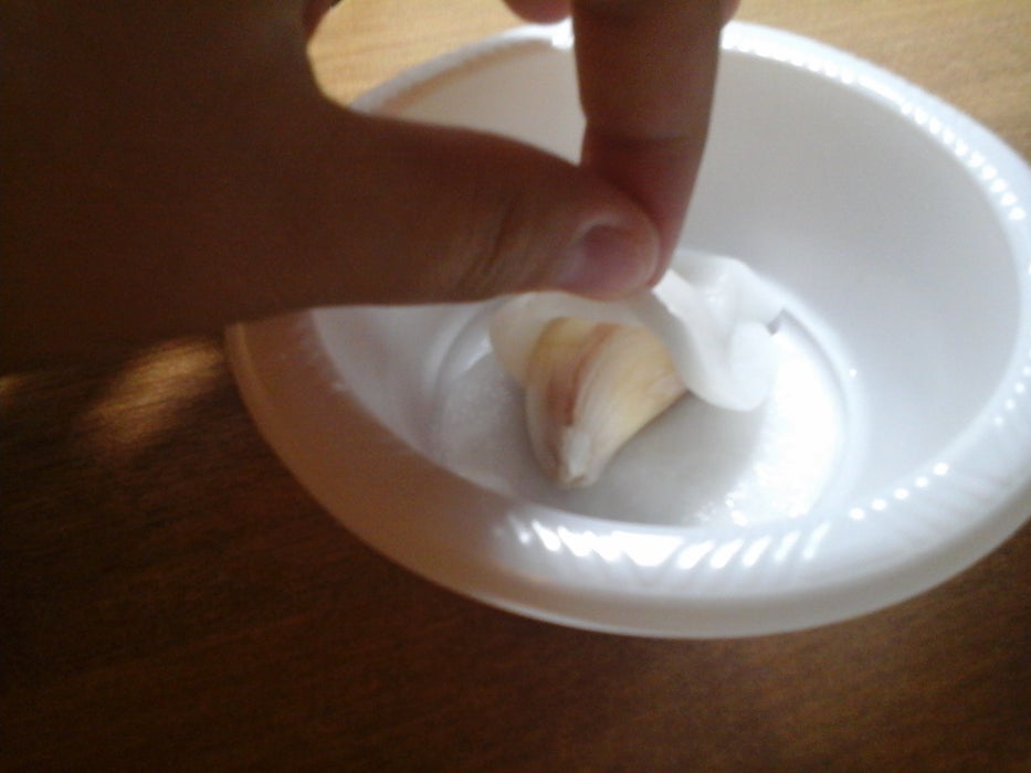 将蒜种置于潮湿环境