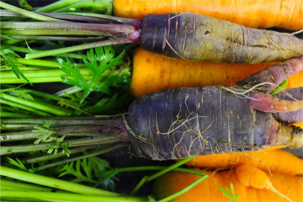 Tout Est Bon Dans La Carotte (胡萝卜的每一部分都美味)