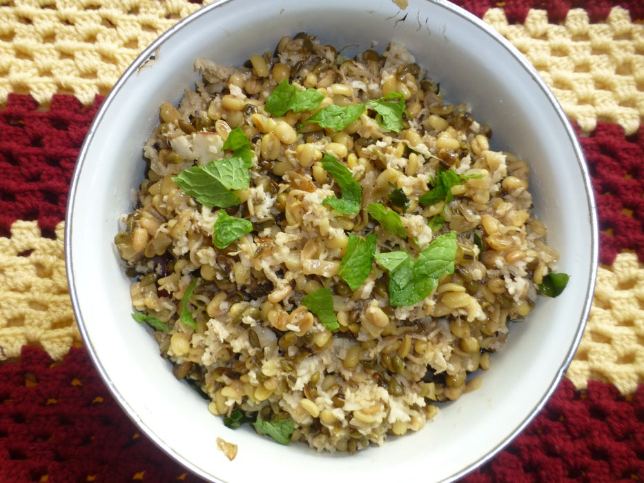 营养发芽绿豆芽纯素料理