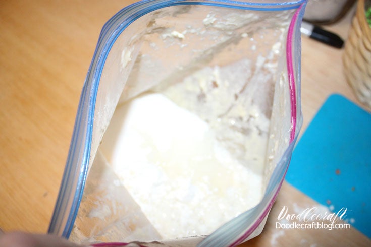 发酵剂10天培育期！