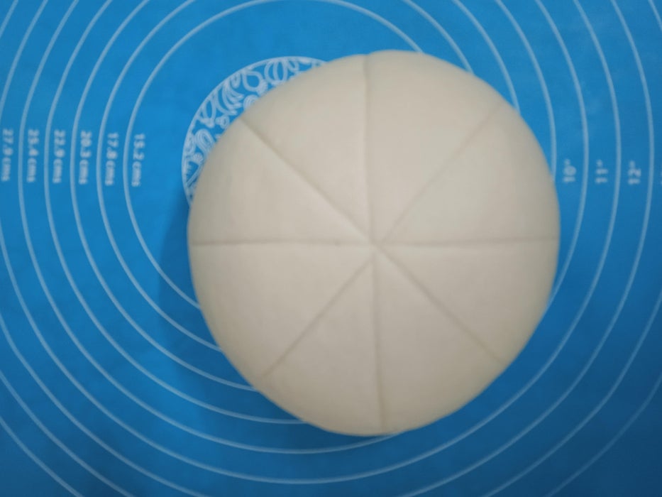 分割面团与冷冻选项