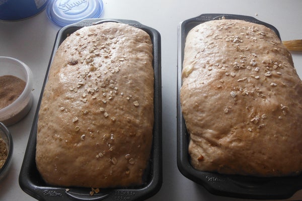 二次发酵与烘烤