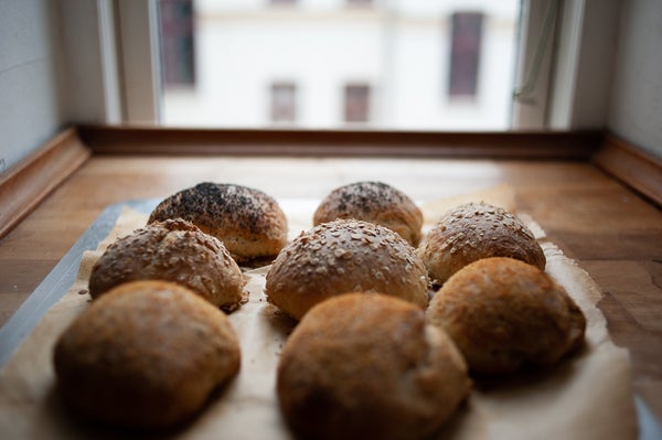 简易天然酵种面包卷