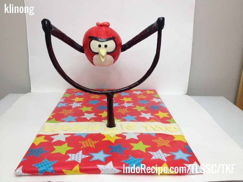 Angry Bird on Slingshot