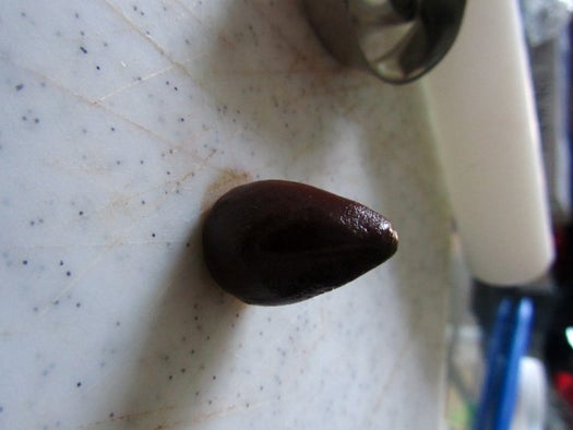 The Rose: Start Simple