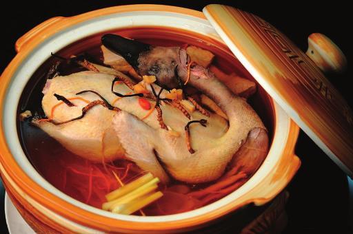 虫草鸭子