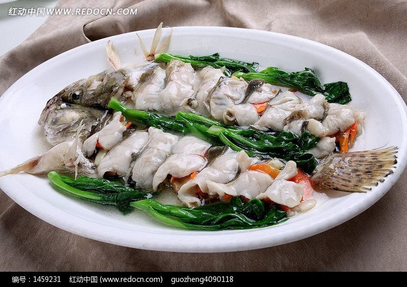 麒麟桂鱼