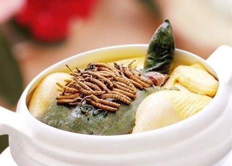 虫草杜仲炖海虾
