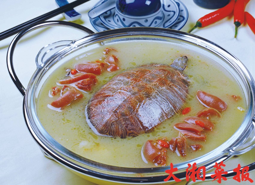龟羊汤